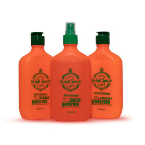 Shampoo e Condicionador Poderoso + Tônico Poderoso - Produto Original Gold Spell
